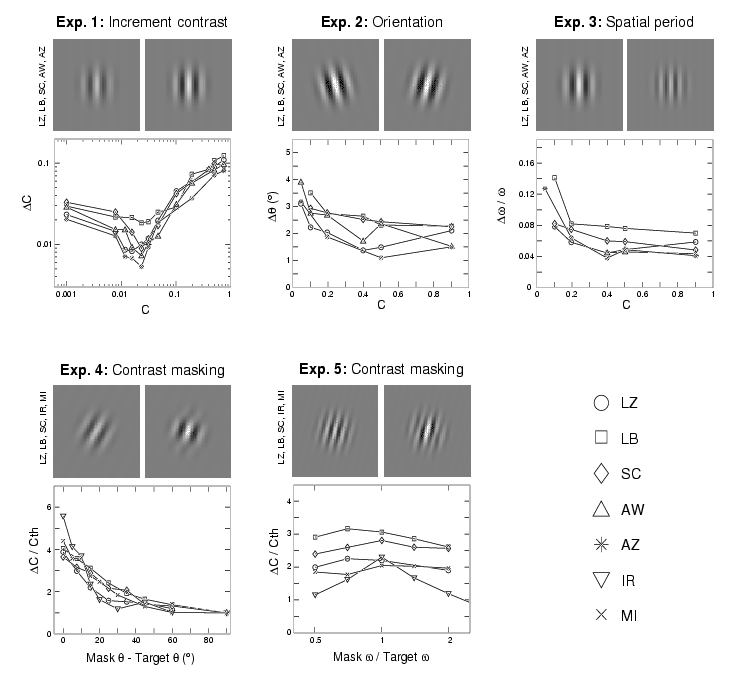 Basic Pattern Perception Home Page